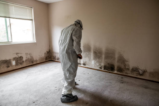 Best Crawl Space Mold Removal  in Lindsay, TX